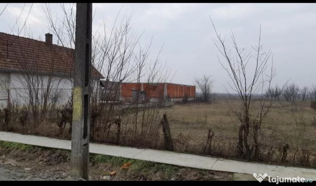 Teren Vetis loc de casa zona foarte buna 14 ari