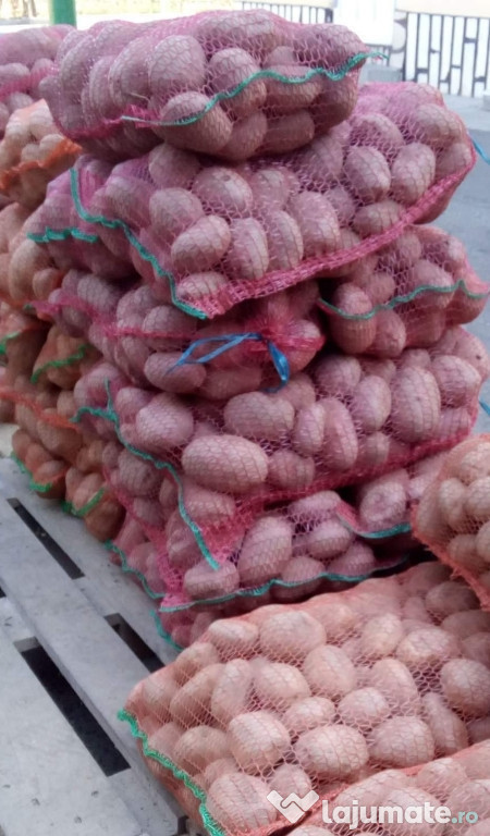 Cartofi de consum albi și rosii