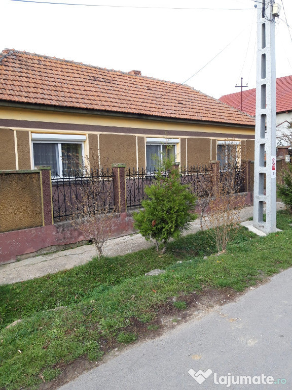 Casa Mierlau cu gradina