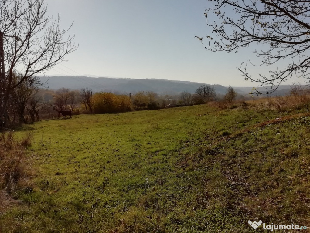 Teren intravilan 2314mp, sat Bosoteni, Beresti-Tazlau, Bacau