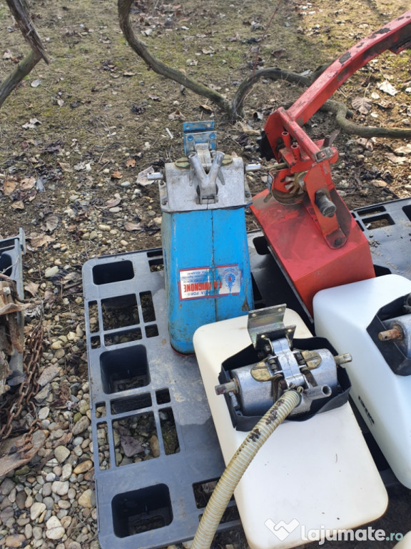 Cutii Microgranulatoare.