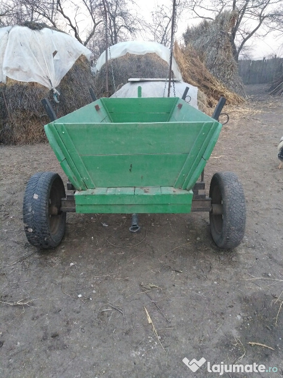 Cărută