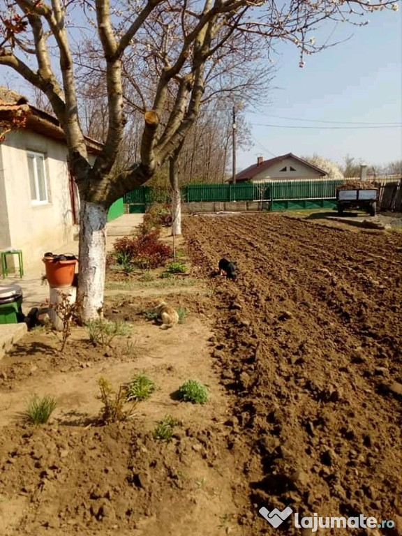 Casa buna de locuit Luciu, Buzau