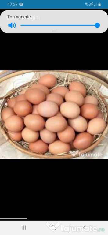 Ouă de găină de țară proaspete