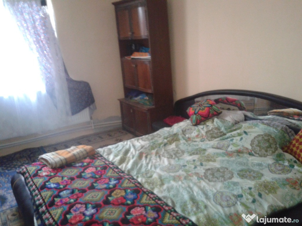 De inchiriat casa la sat Gavojdia, Timis
