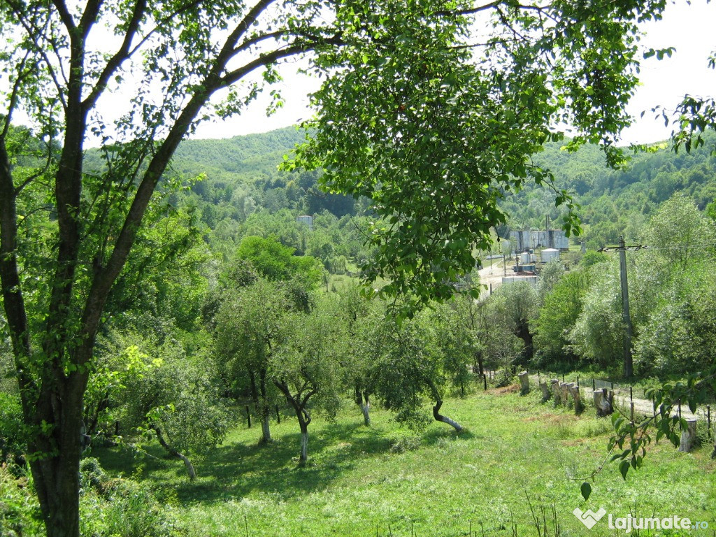 Se vinde casa Colibasi