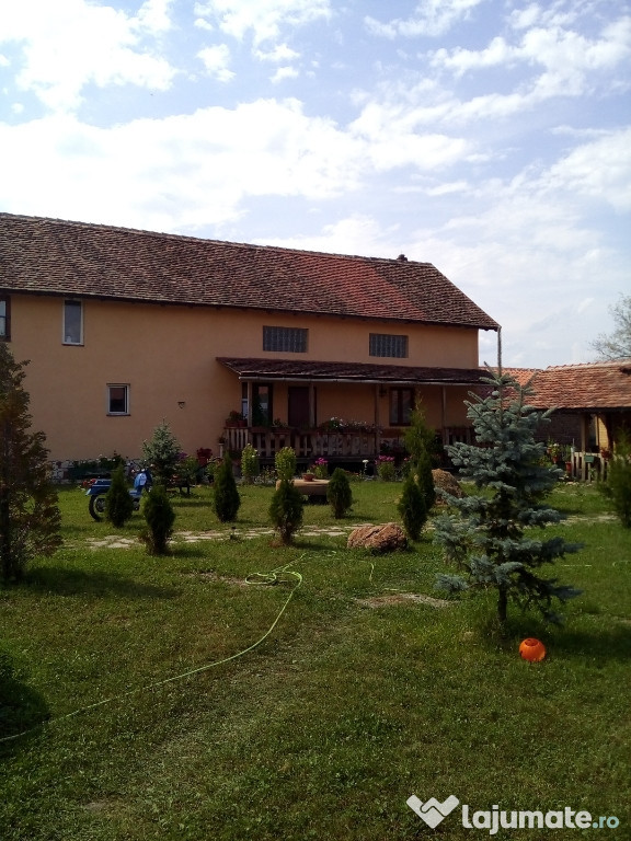 Cazare Casa Maria Cincu, Brasov