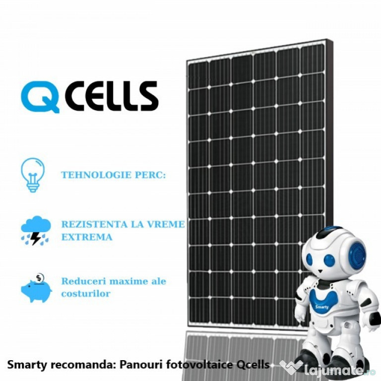 Panou Solar Fotovoltaic Monocristalin 305W