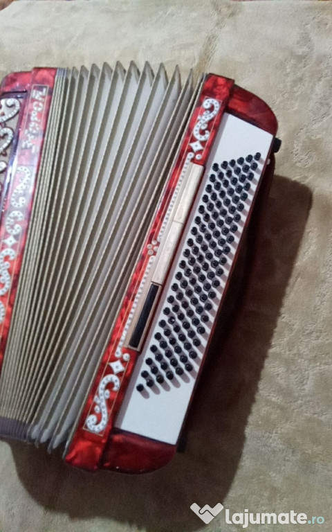 Acordeon