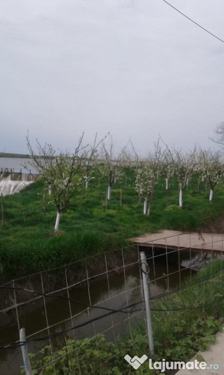 Inchiriere sediu ferma Catrunesti, langa Bucuresti