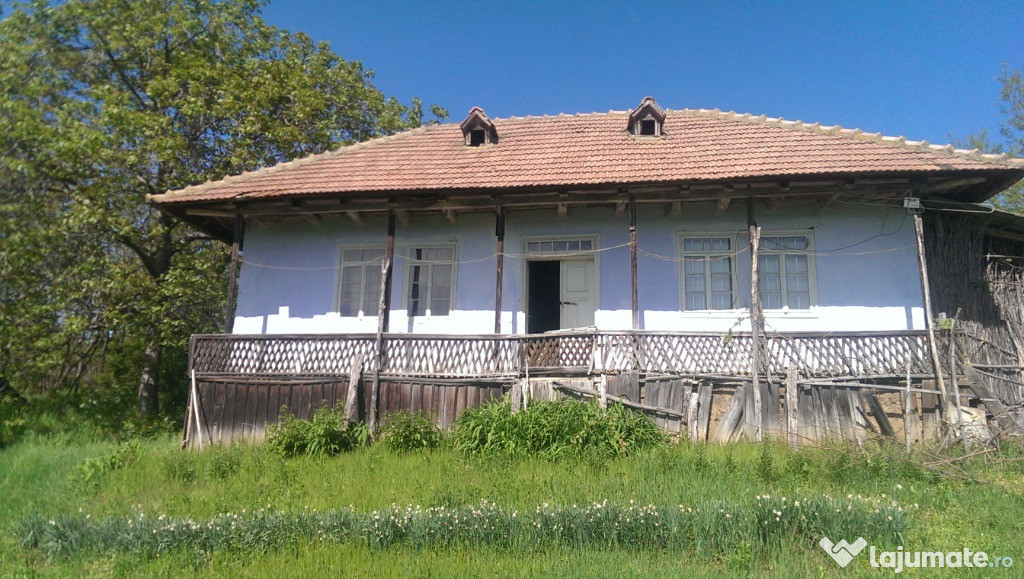 Casa batraneasca Blagesti, Vaslui