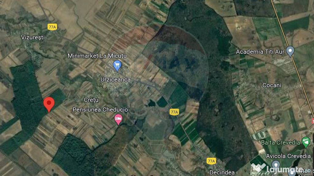 Teren agricol com Ciocanesti - sat Cretu | 59.000 mp