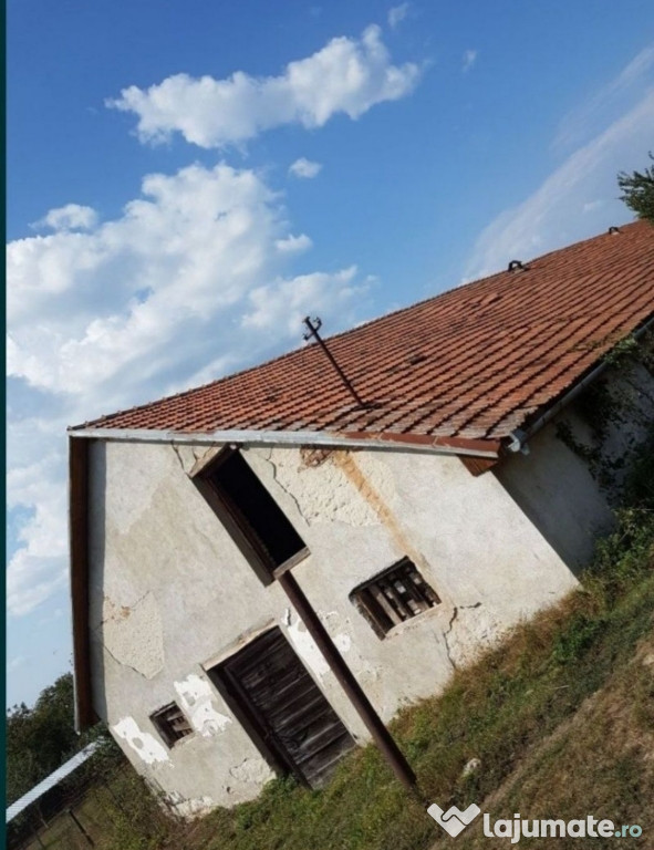 Hală /grajd 600mp În Banpotoc