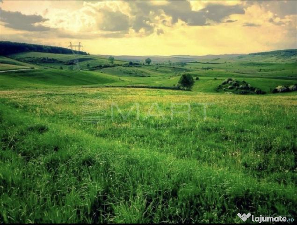 Teren Intravilan 1050 mp, zona Salistea, comuna Baciu