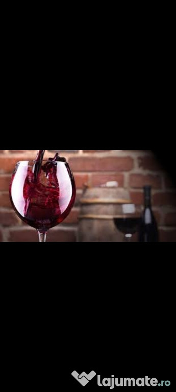 Vin din Vita Nobila - Cabernet Sauvignon