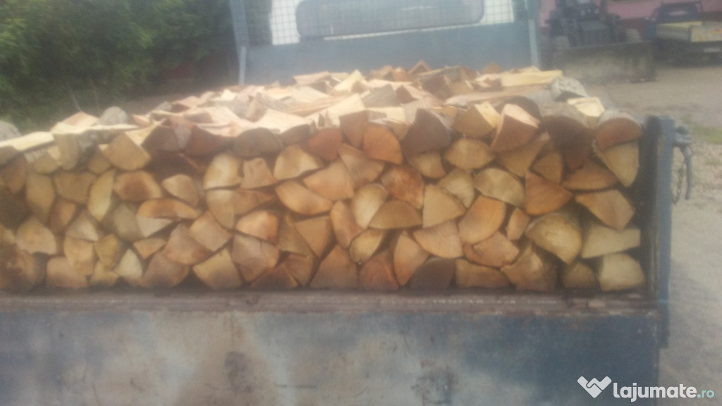 Un camion de 4 metrii ster lemne uscate fag si carpen
