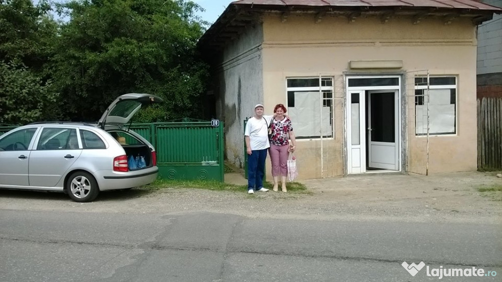Imobil casa Liliesti