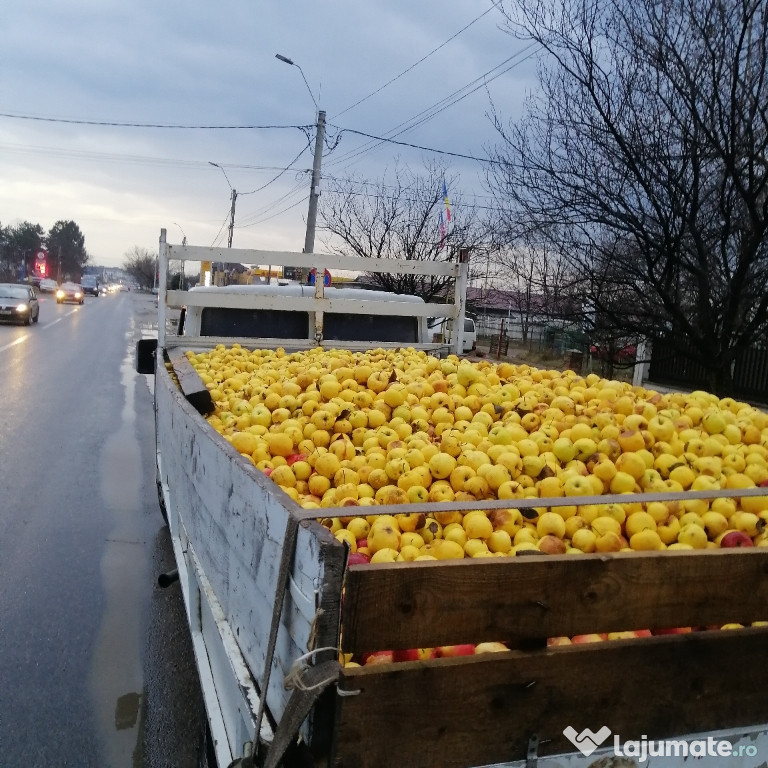 Mere pentru țuică