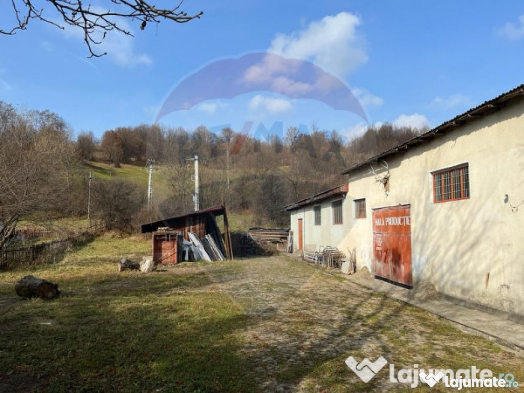 Teren si atelier de tâmplărie, de vanzare, Slanic-Moldova