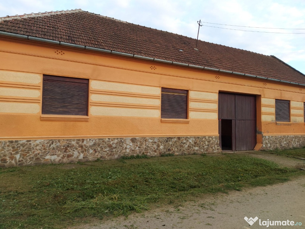 Casa cu potential