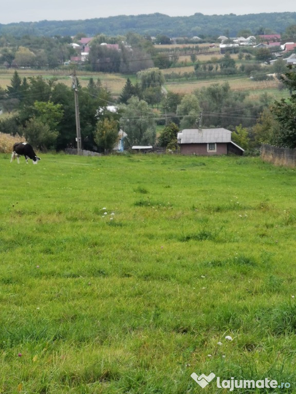 Teren in sat Iorcani, comuna Tatarusi, judetul Iasi 14500mp
