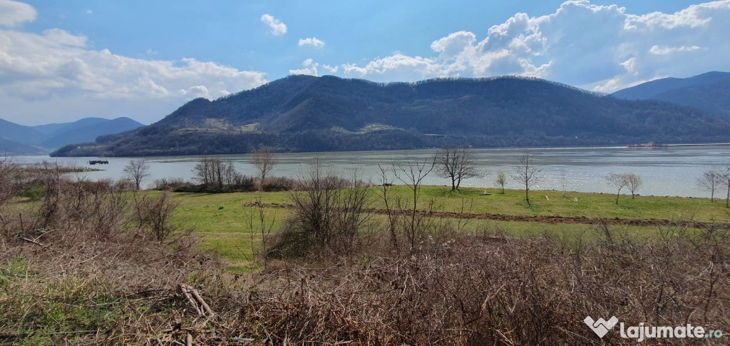 Berzeasca-Teren Intravilan-1486 mp-Front la Dunare- Drencova