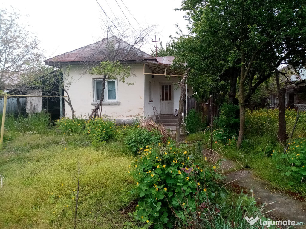 Casa cu vie, gradina, mobilat complet, gaz, in centru Stoina