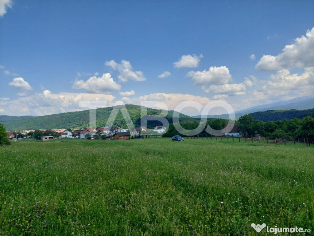Teren extravilan 1000 mp Talmaciu zona Armeni