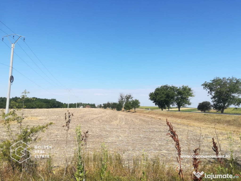 Teren intravilan, pentru constructii hale industriale, zona