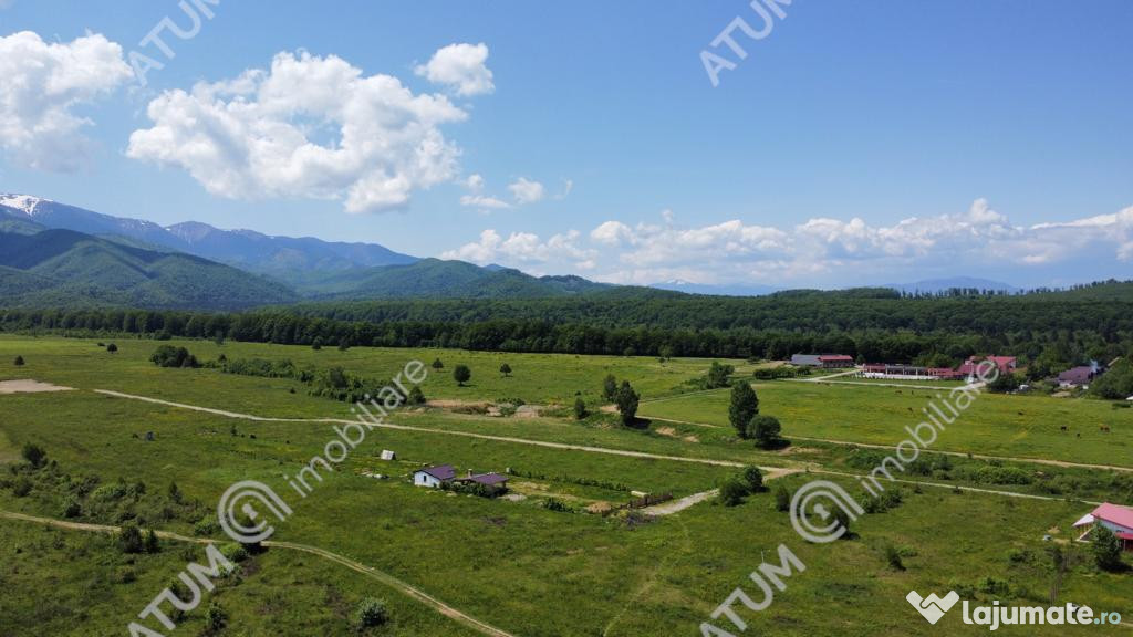 Teren de in Avrig zona Valea Avrigului 2800 mp