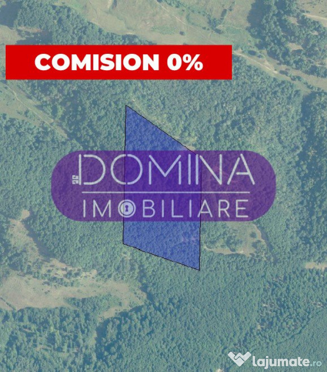 *Pădure* 10 ha situată în Comuna Vladimir, Județul Gorj