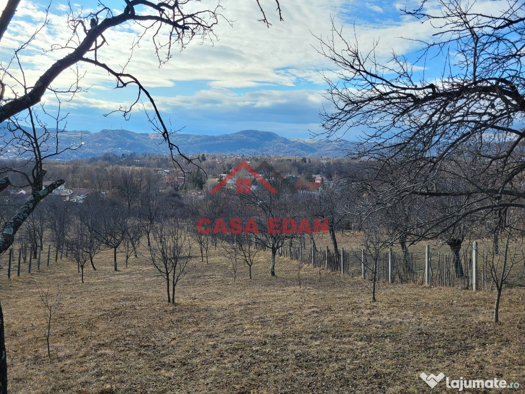 ●Teren intravilan in Cornu de Jos,Ph,2991mp,29e●