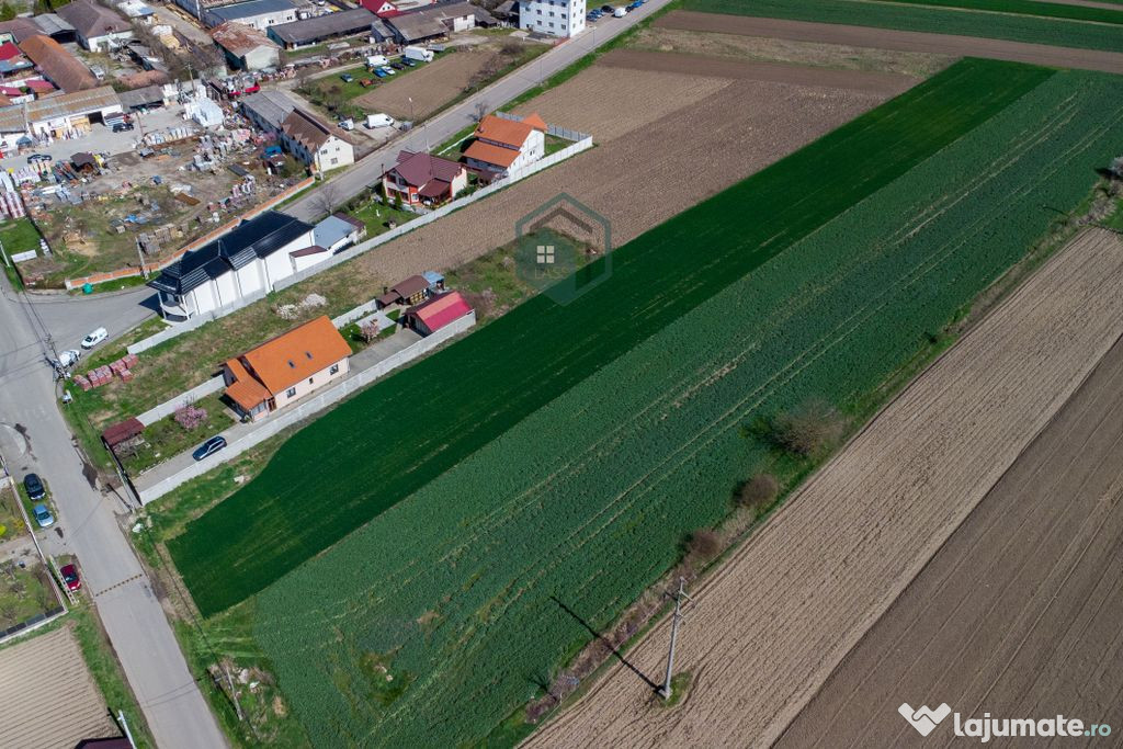 Teren intravilan / Strada Raul Mare ,Hateg/Hunedoara