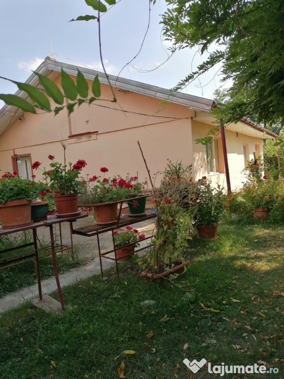 Casă pe Valea Buzăului zona montană