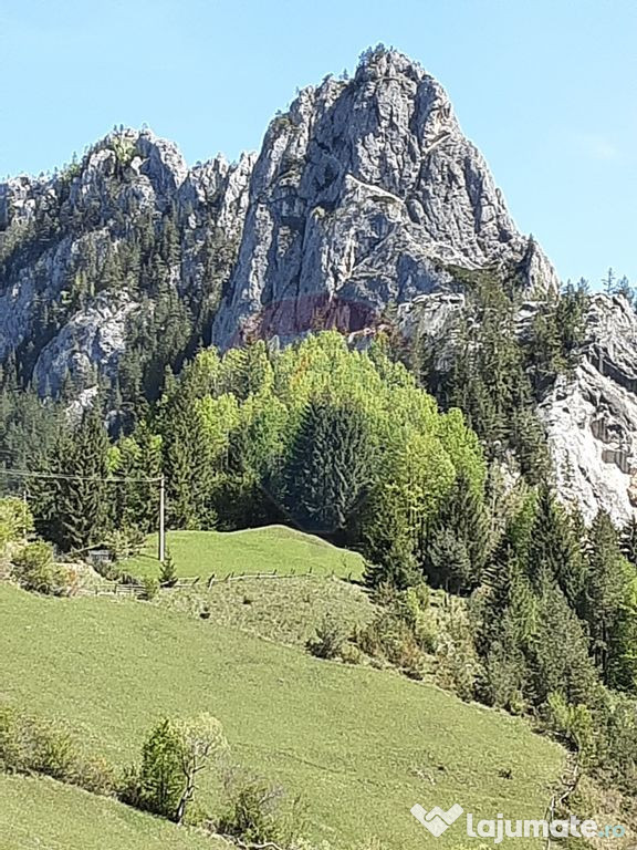 Teren 8,619mp Bicaz-Chei / Strada Sugaului