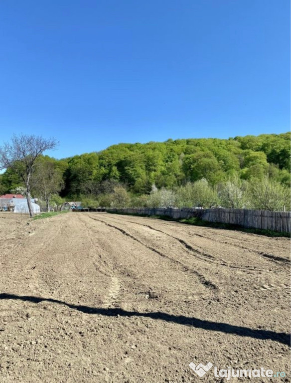 Teren intravilan, ideal pentru constructii, 2166mp