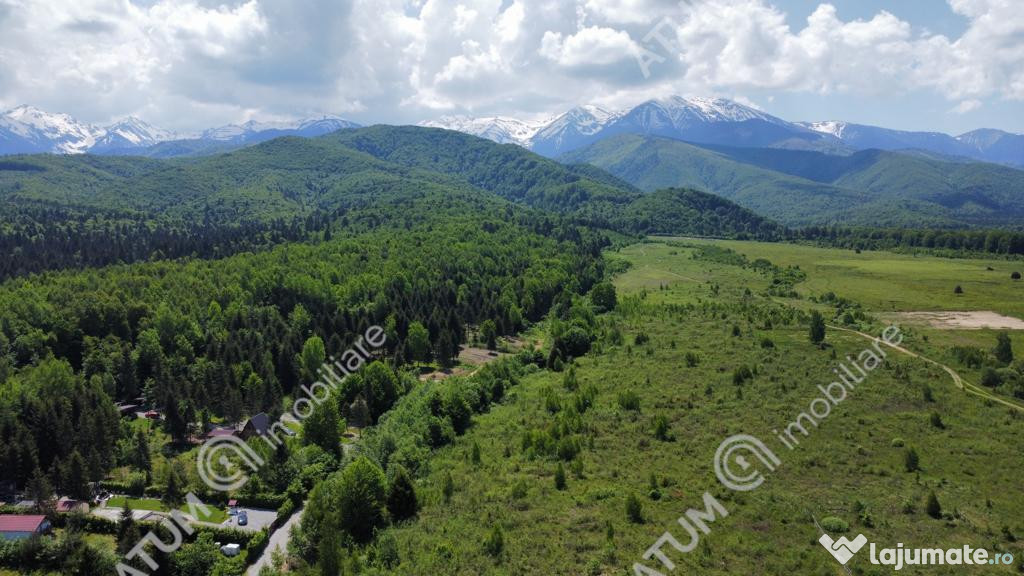 Teren intravilan 1000 mp de pe Valea Avriguluiu