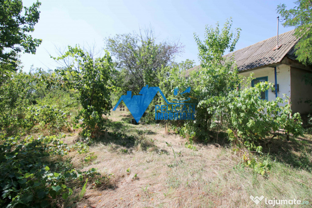 Casa cu teren in Victoria (Nufaru) - 1400mp