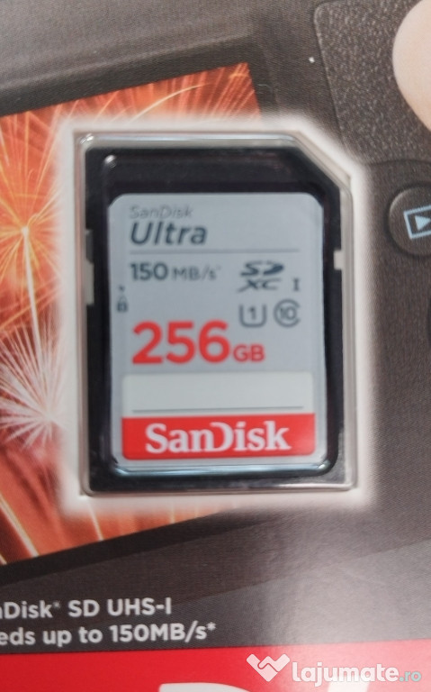 Card SDXC 256 gb