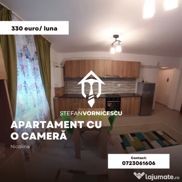 Apartament cu o camera de închiriat - Nicolina, Salciilor