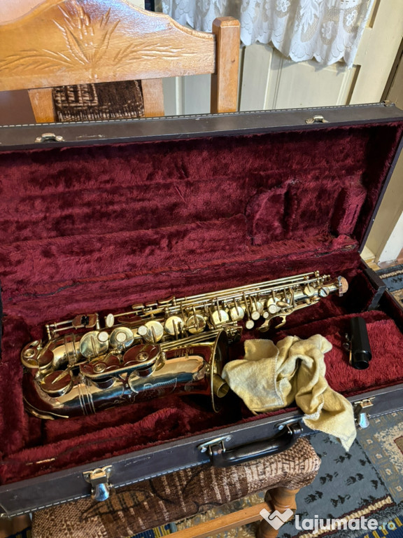 Saxofon Alto Stagg