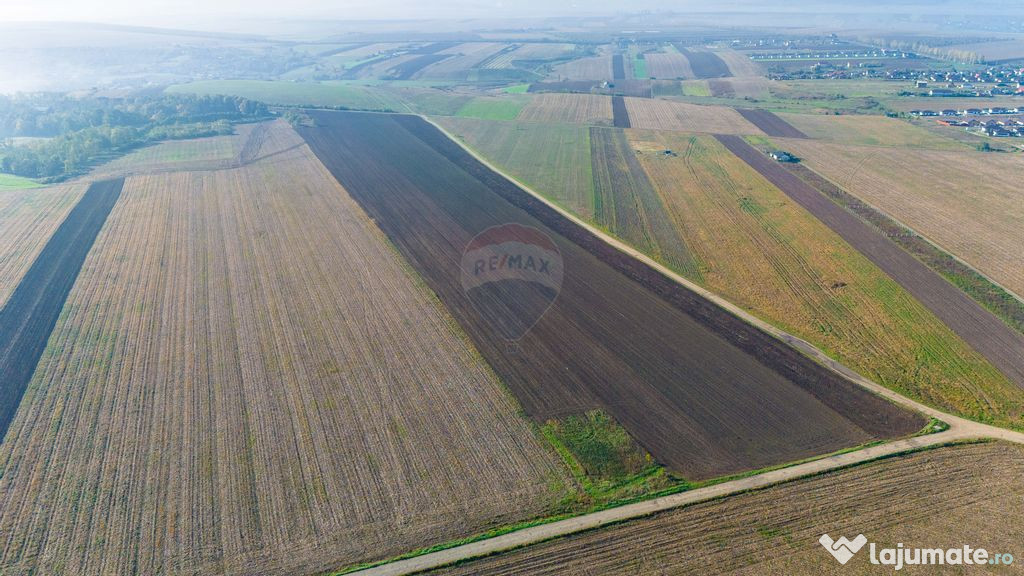 Teren 15,000mp Vorovesti / Strada Militari