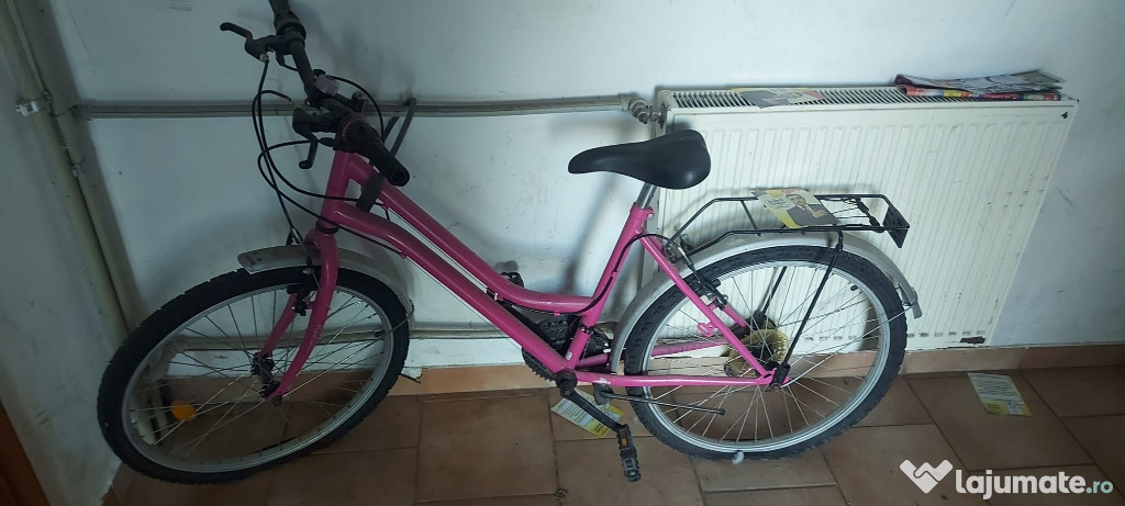 Bicicleta pentru copii