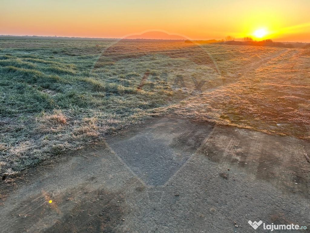 Teren 17,400mp Ciumeghiu / Drumul DN79