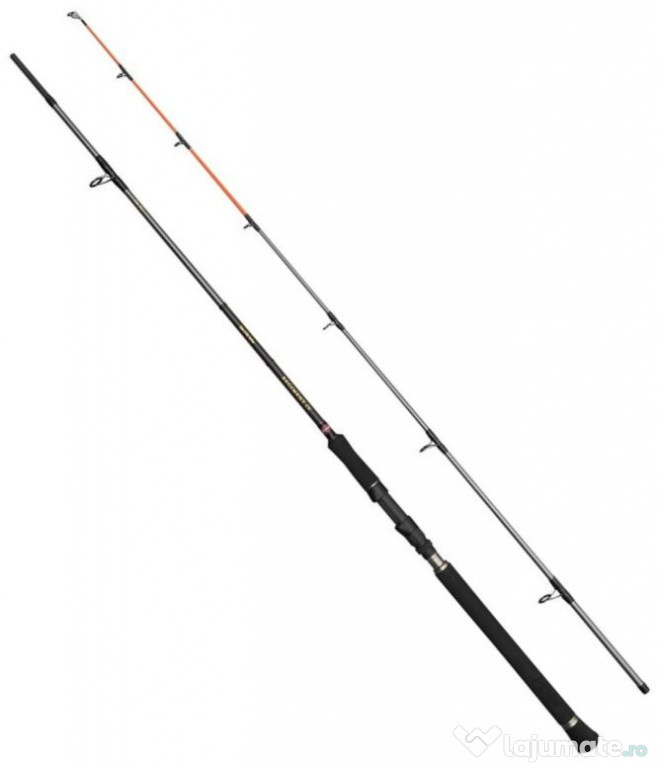 Lanseta PEEN Regiment IV Spin-Pilk Rod, 20-80g, 2.40m, 2seg