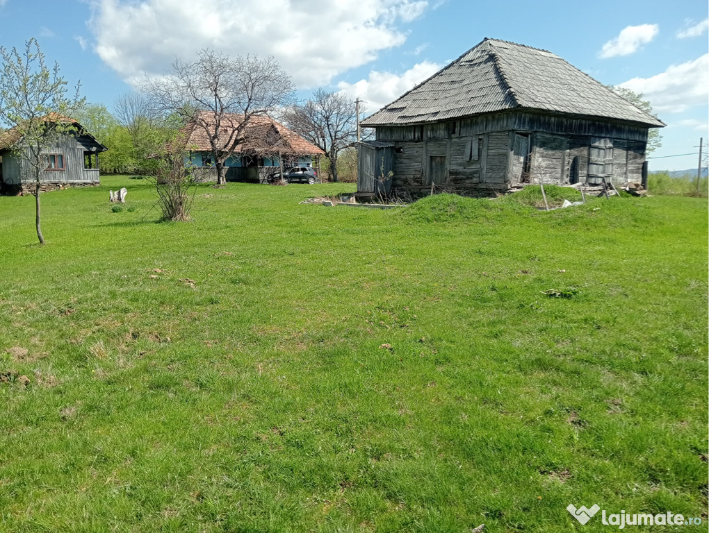 Teren pt construcții, cabane, panouri fotovoltaice, etc