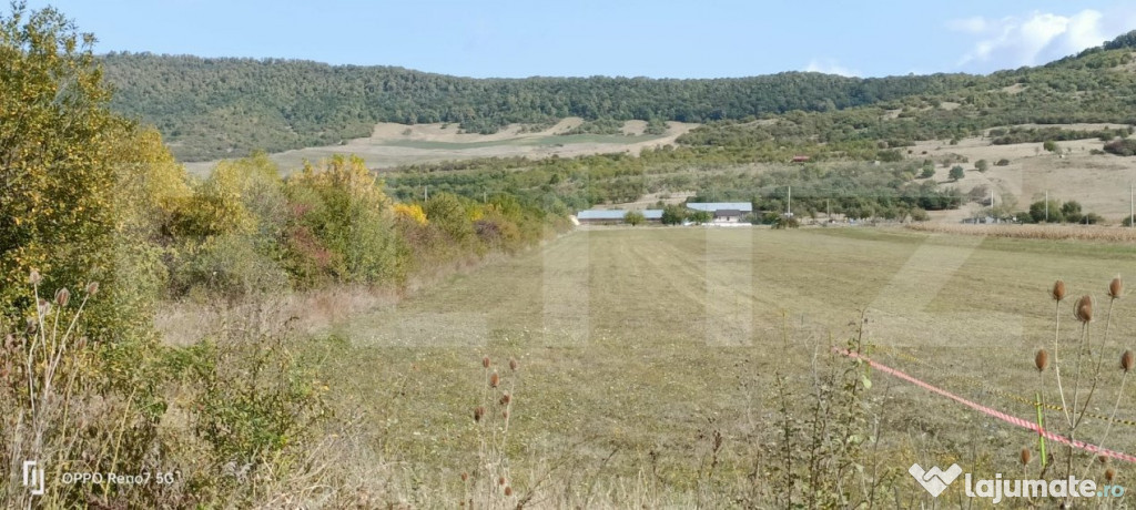 Teren Intravilan de vanzare, 4.900 mp, zona parcului Industr