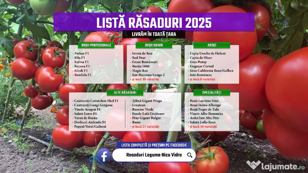 Vand Rasad Rosii Ardei Vinete Castraveti Varza | Rasaduri Legume 2025