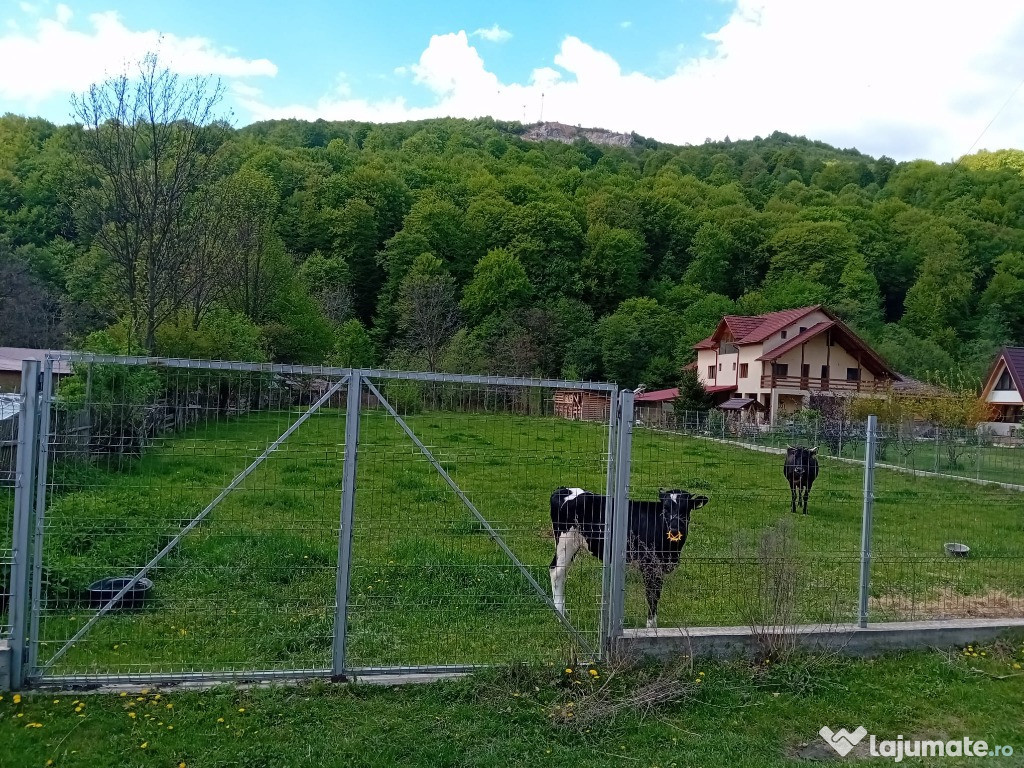 Teren intravilan 1596mp comuna Slobozia judetul Arges