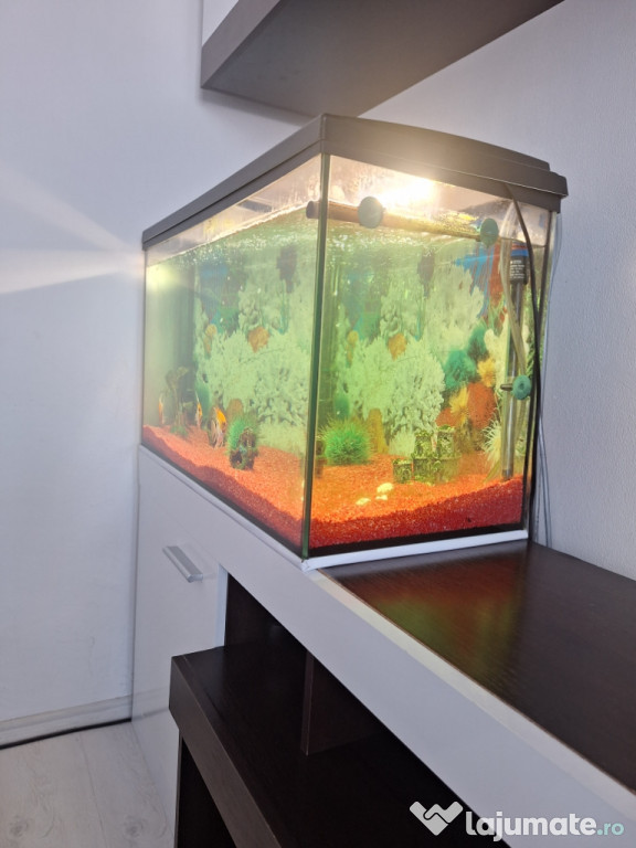 Vând acvariu 120 L